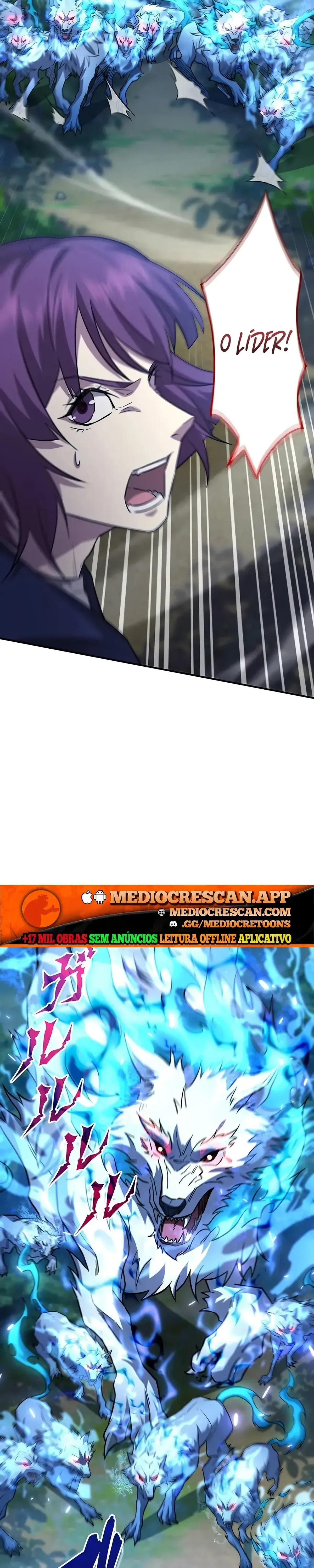 Página 17