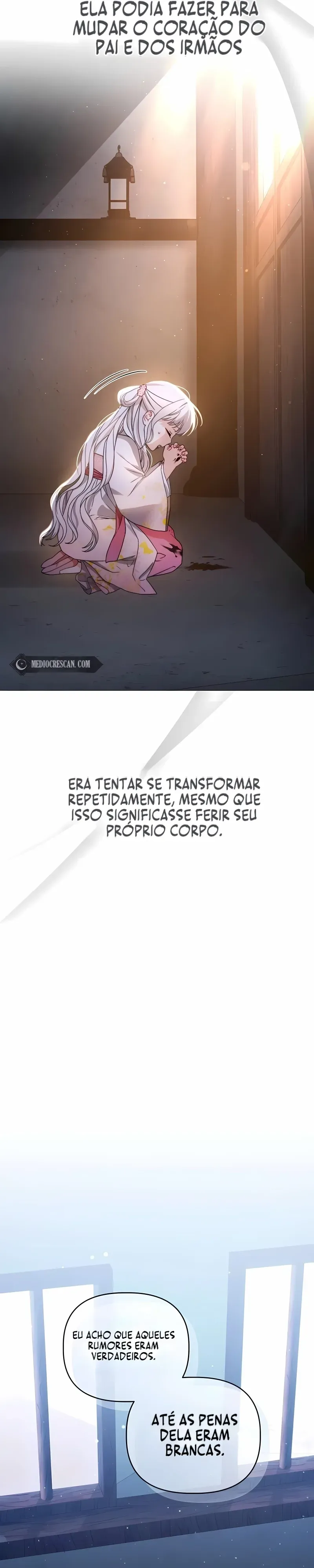 Página 49