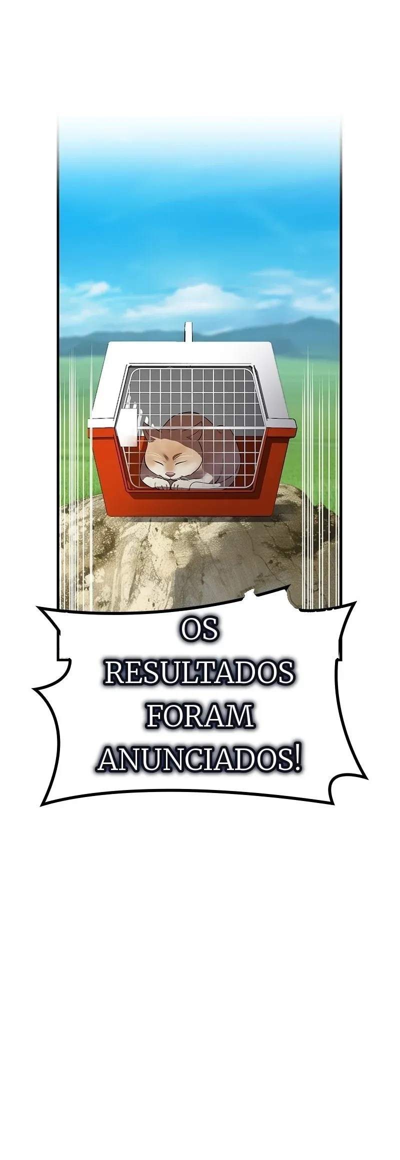 Página 40