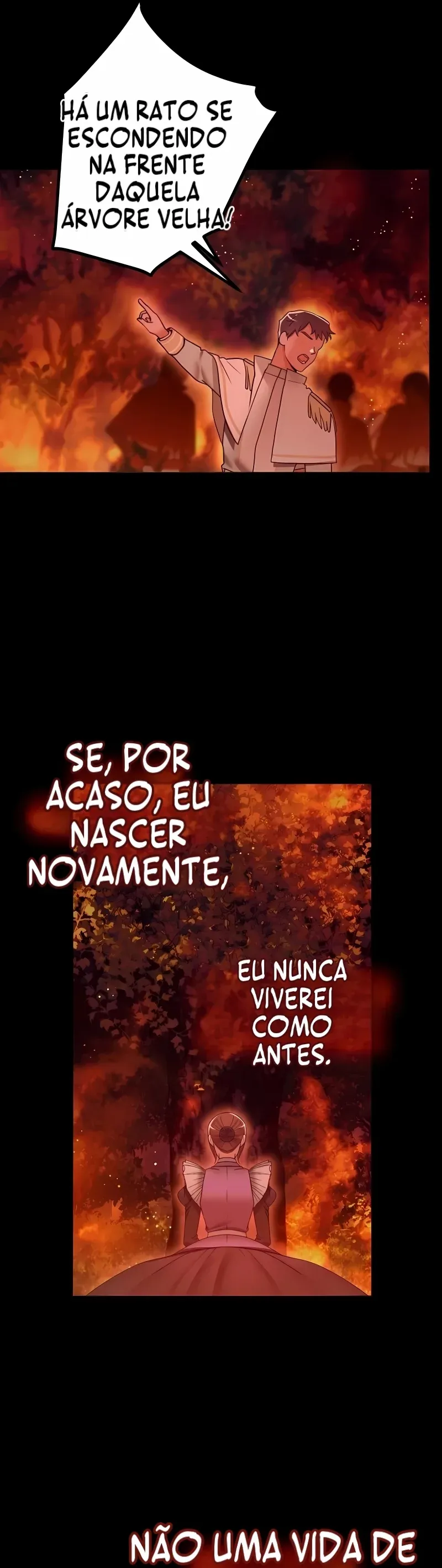Página 46