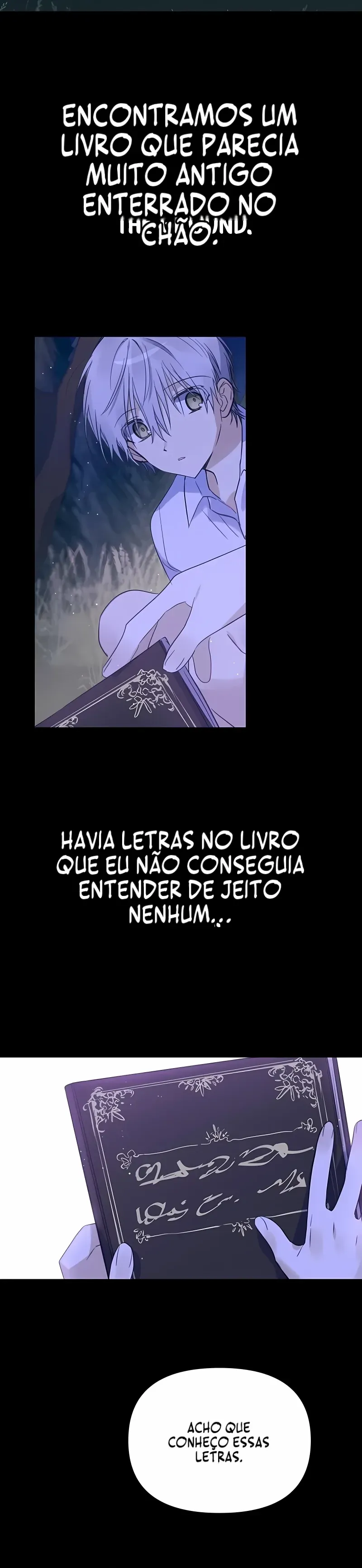 Página 31