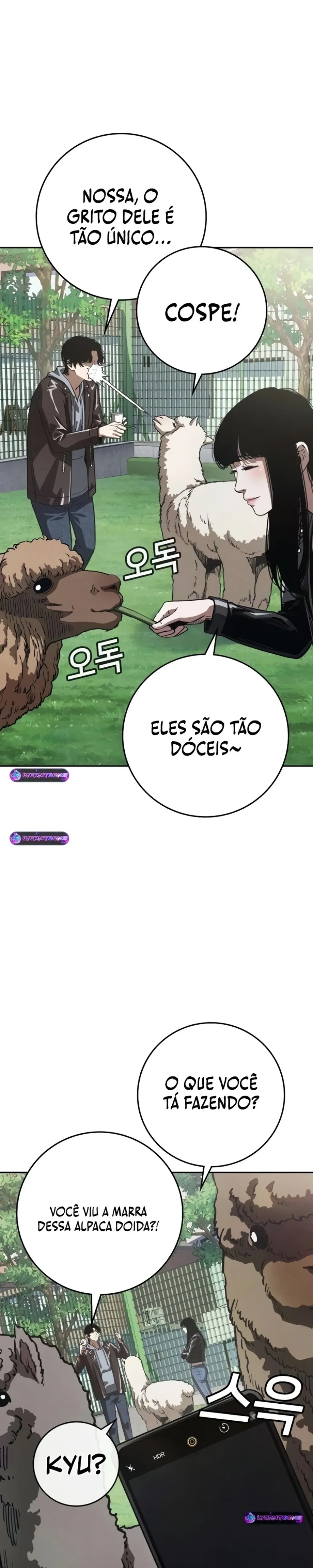 Página 40