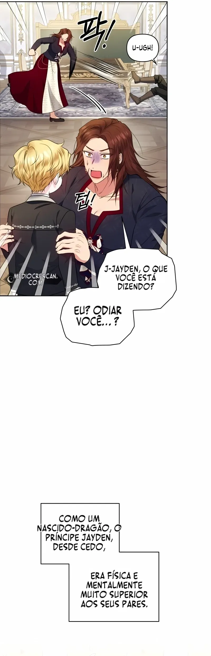 Página 29