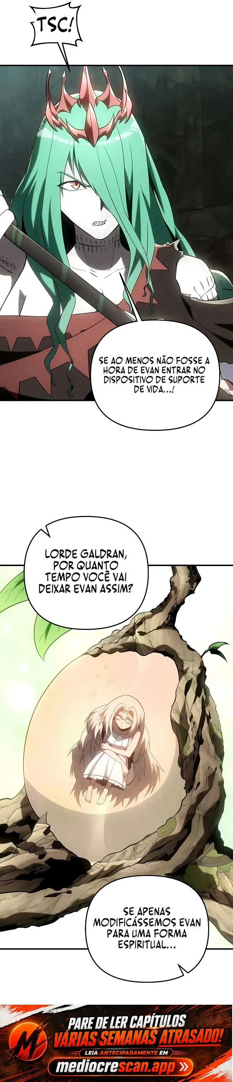 Página 24