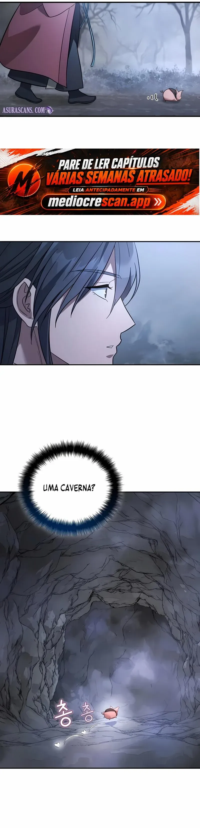 Página 13