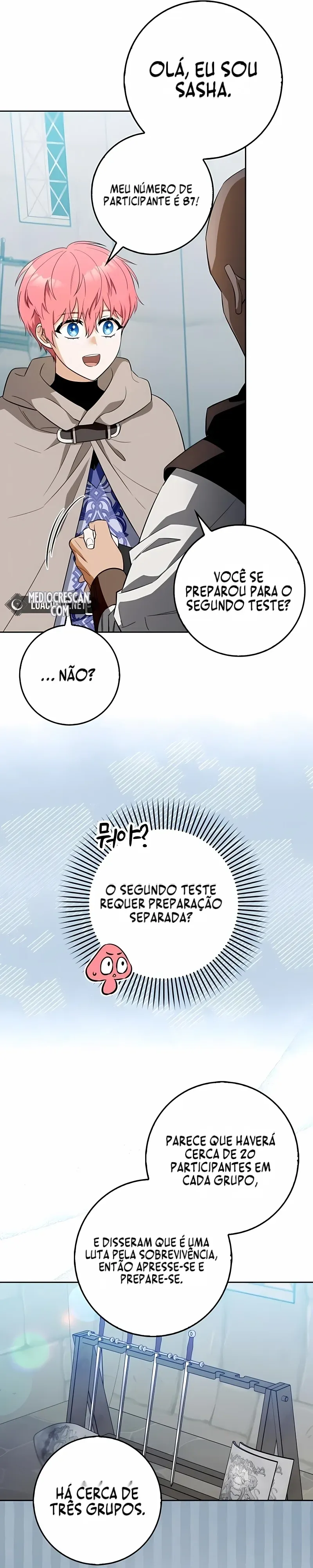 Página 26