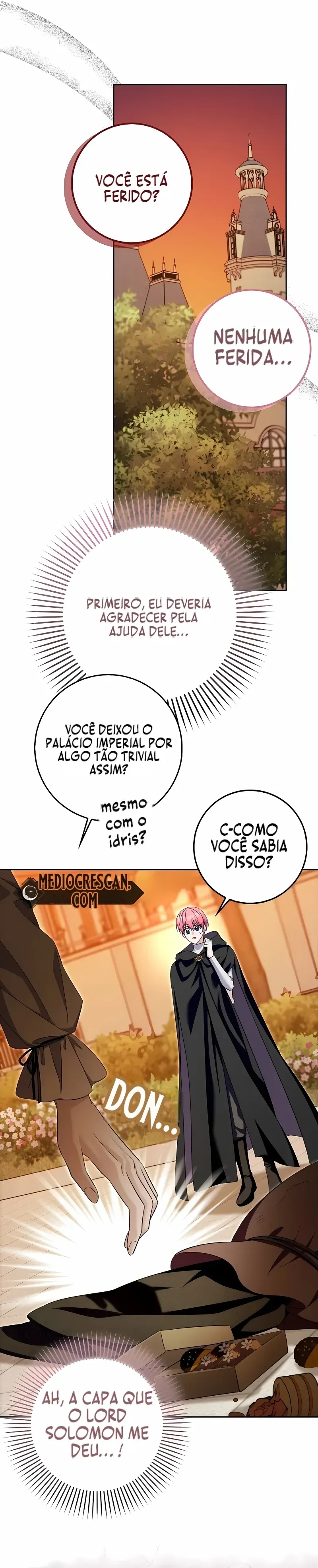 Página 36