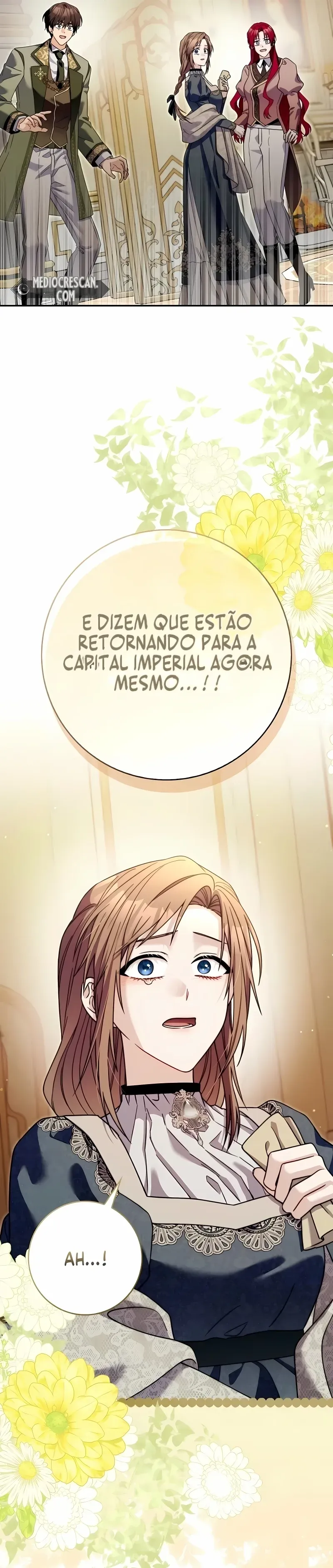 Página 43