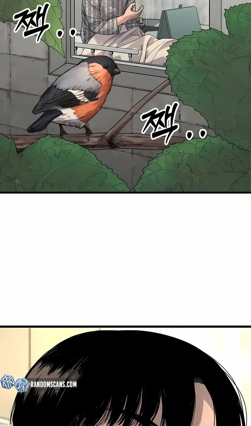 Página 107