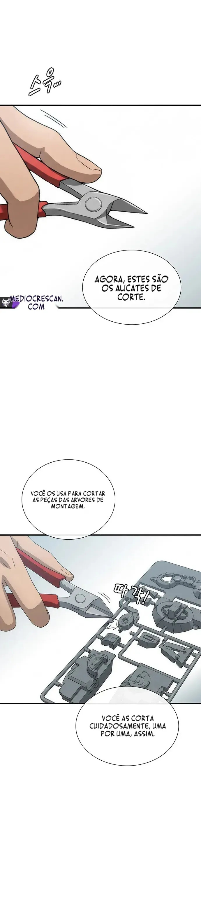 Página 10