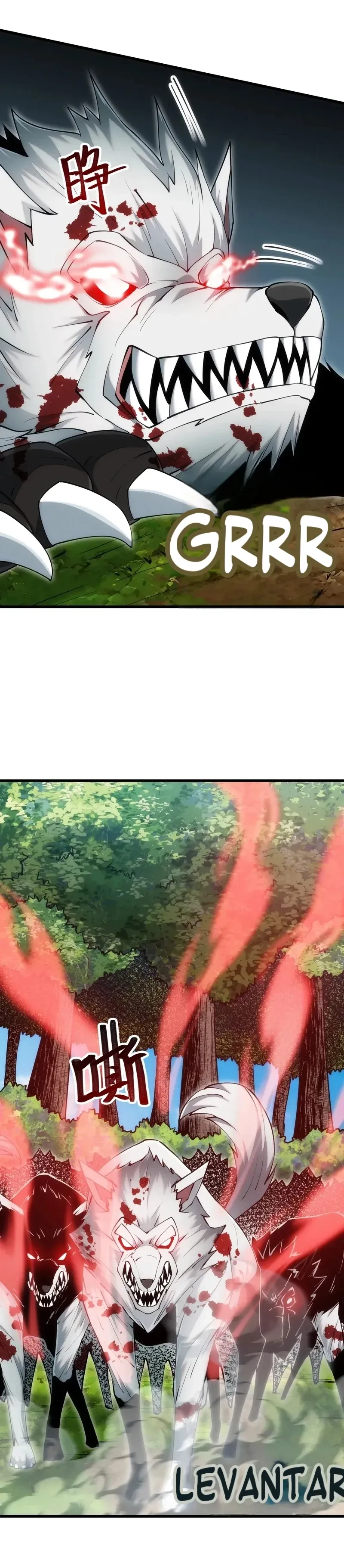 Página 12