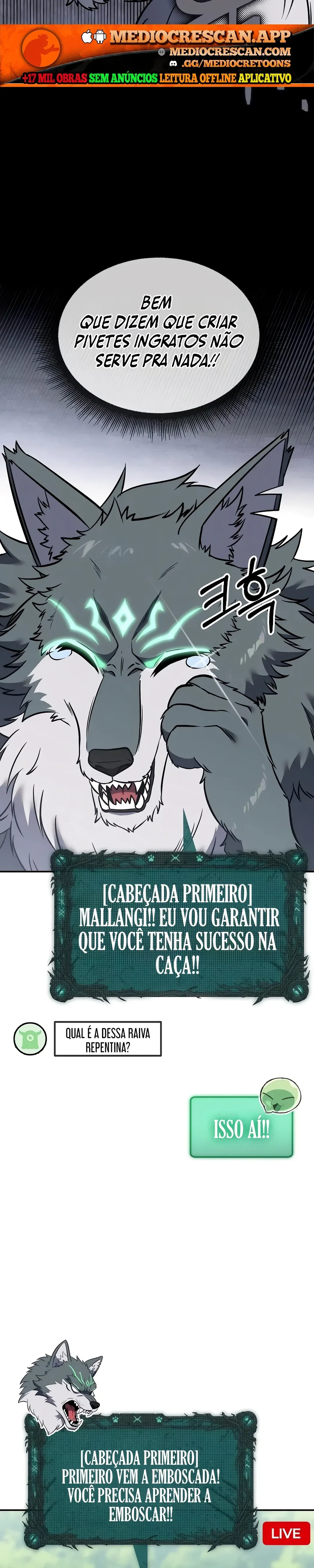 Página 29