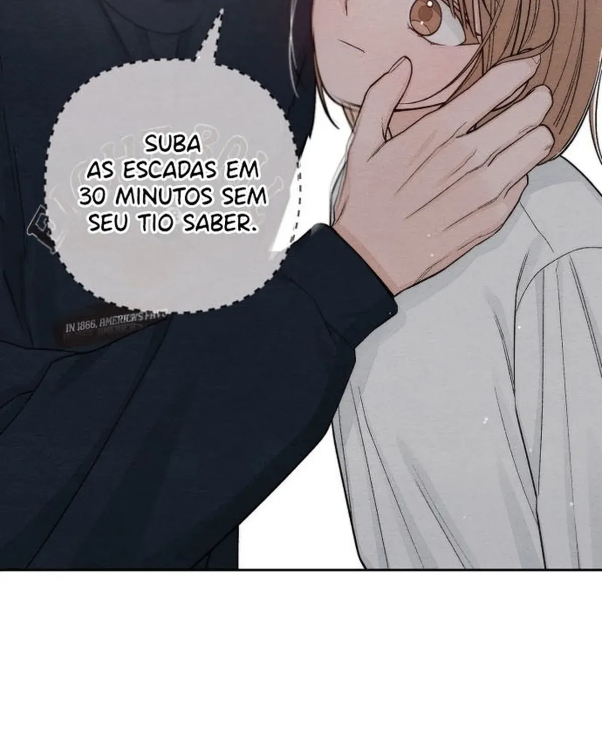 Página 31