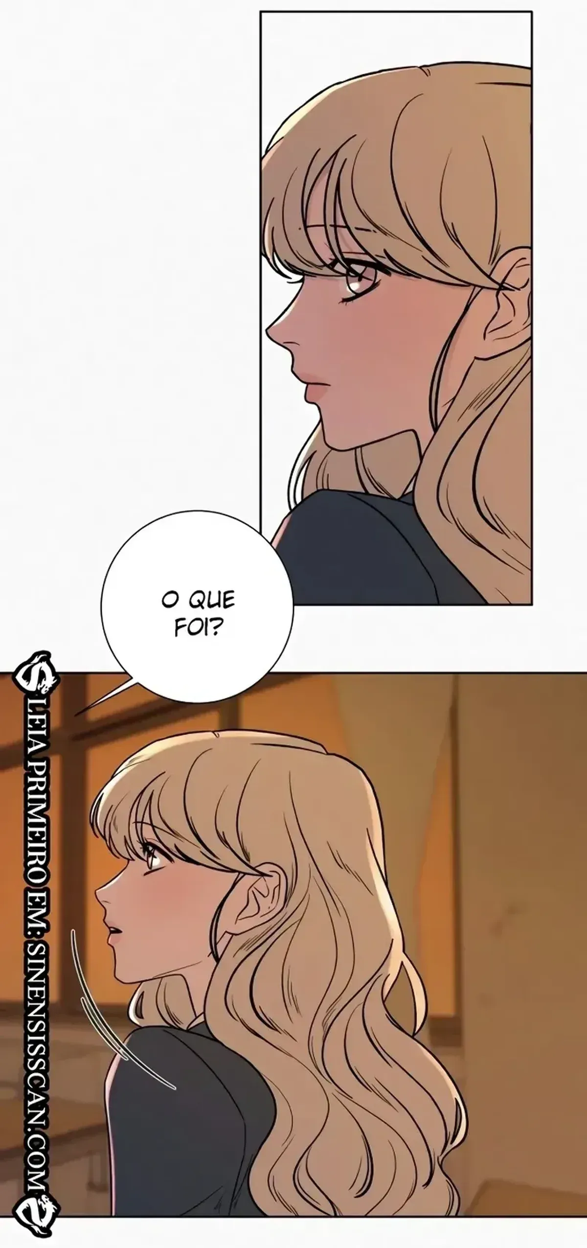 Página 117