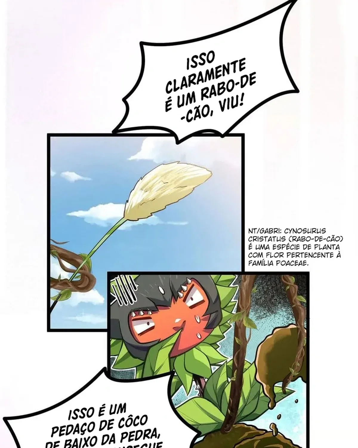 Página 24