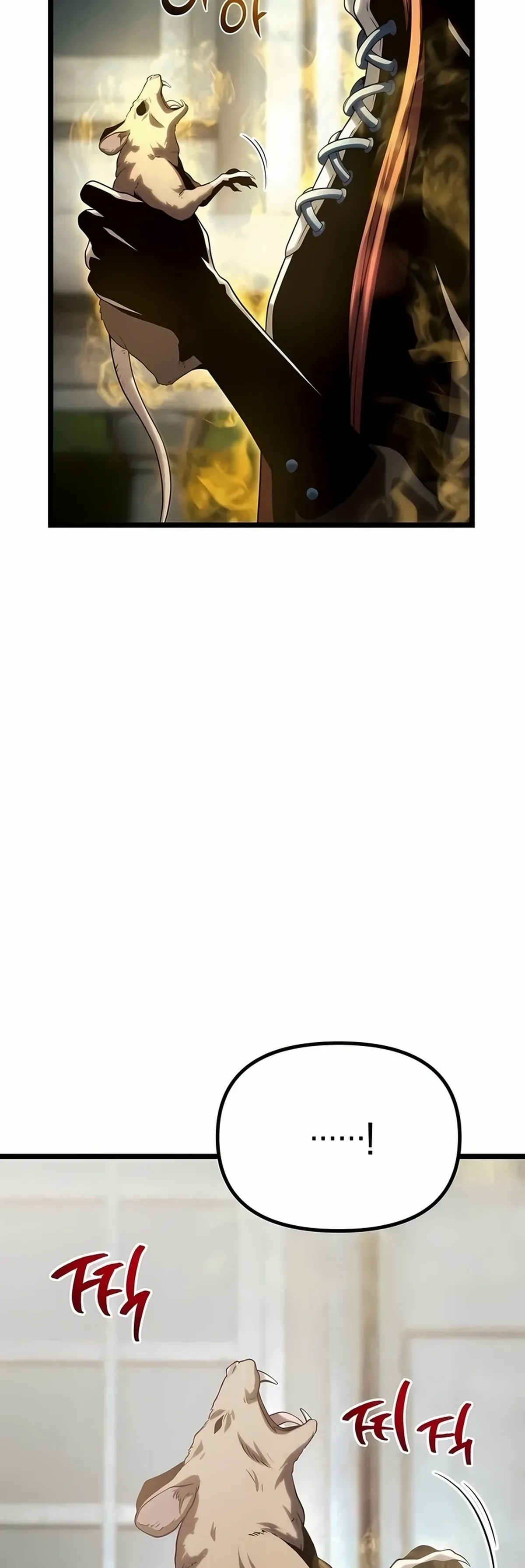 Página 44