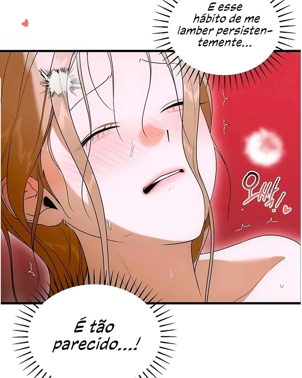 Página 50