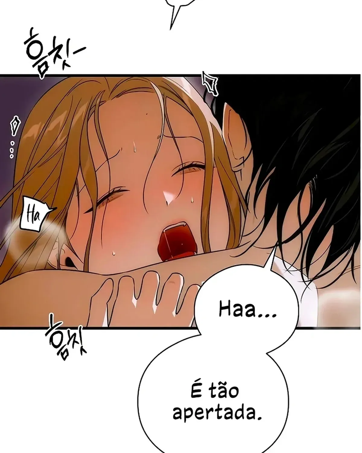 Página 46