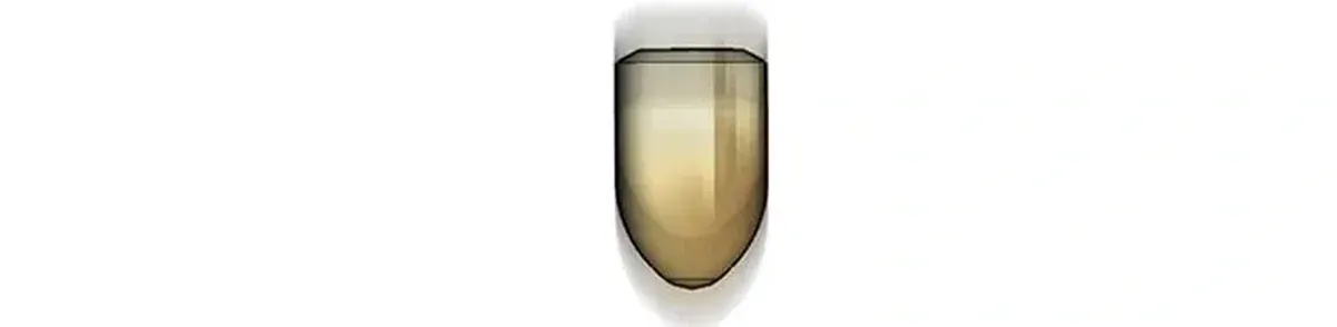 Página 61