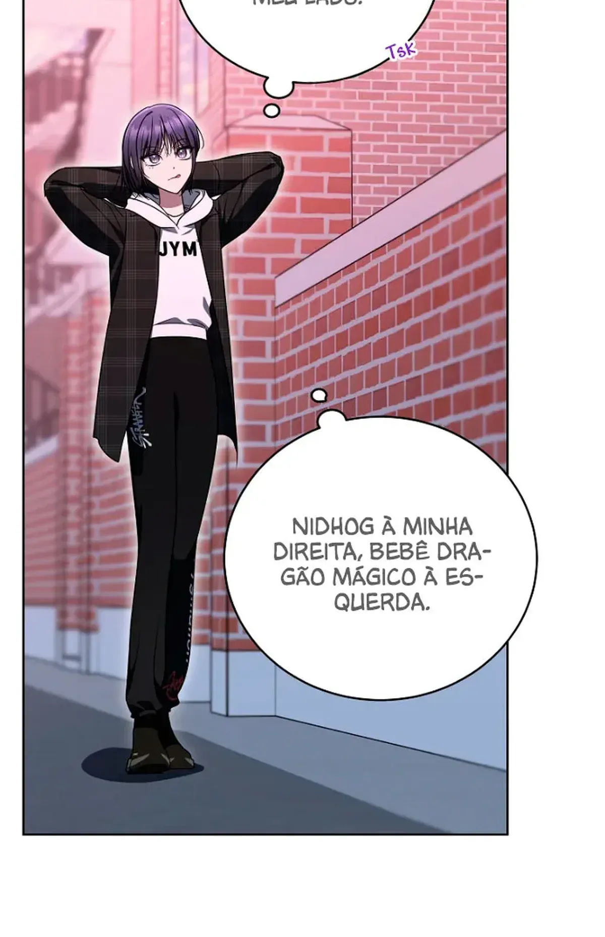 Página 27