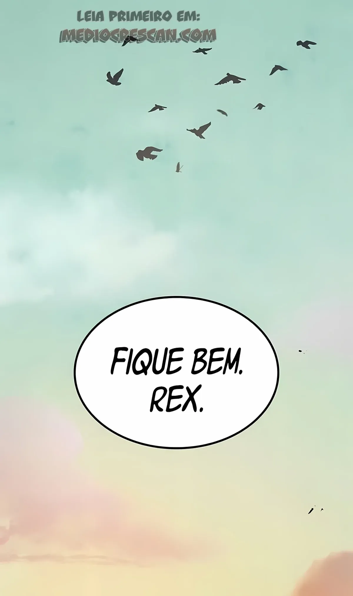 Página 119