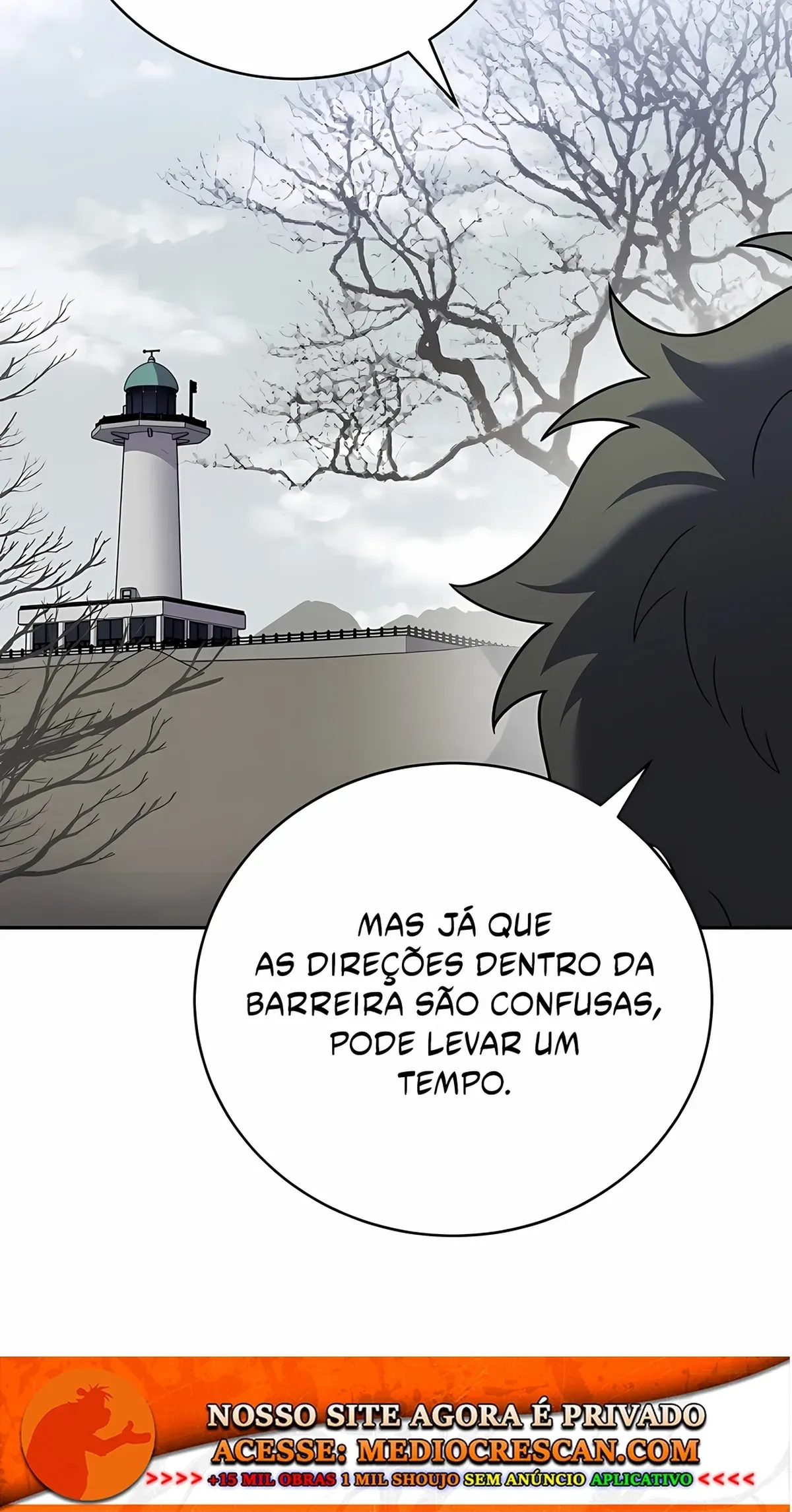 Página 117