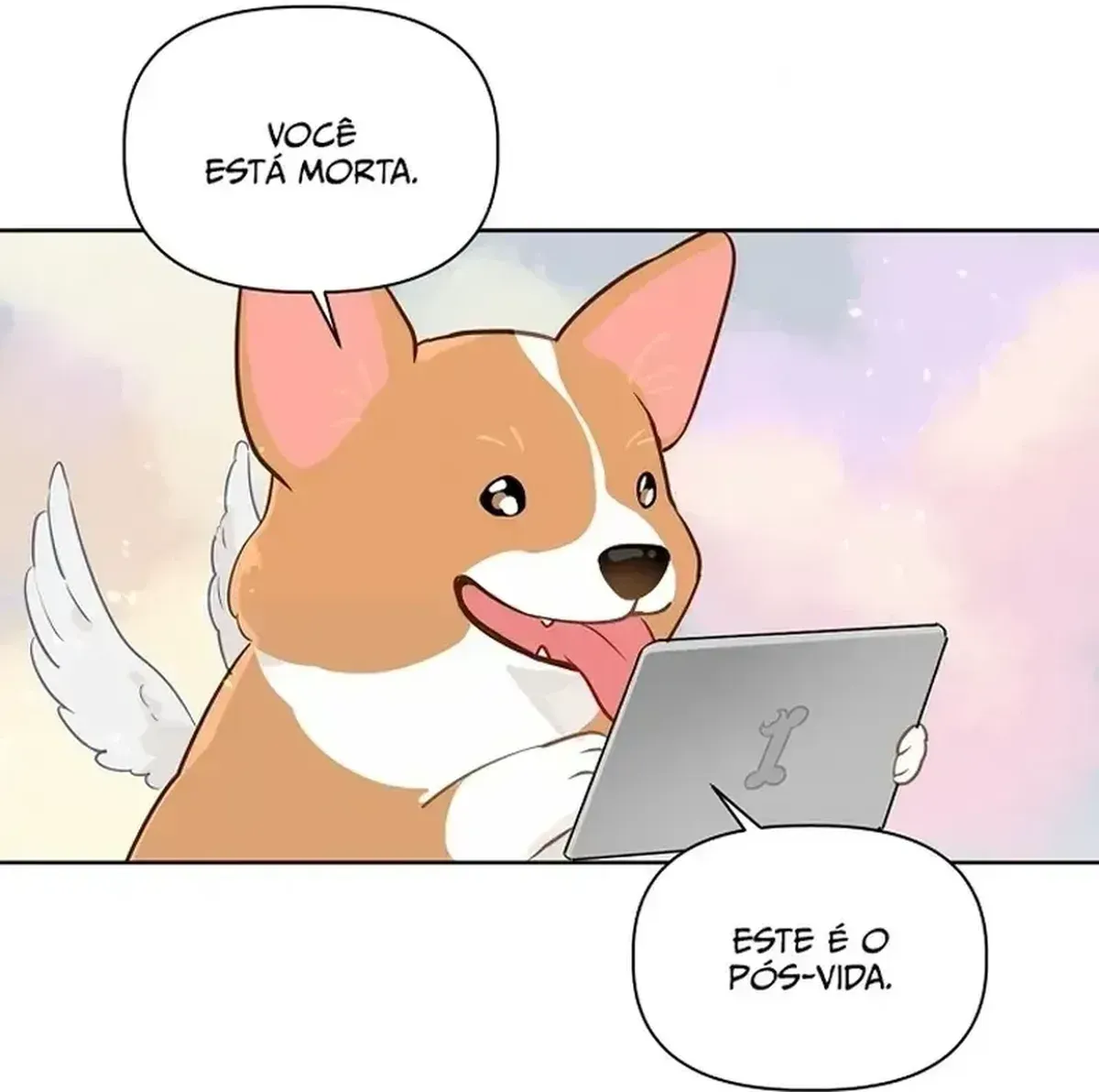 Página 61