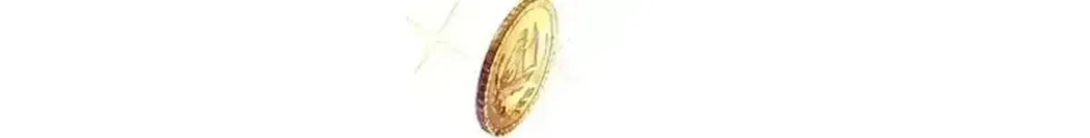 Página 78
