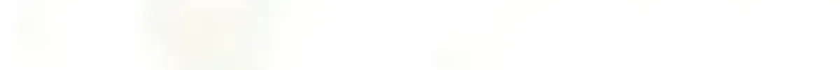 Página 121