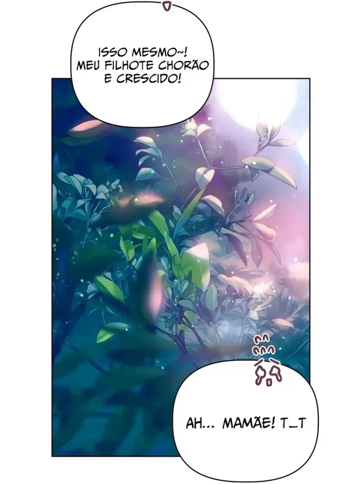 Página 81