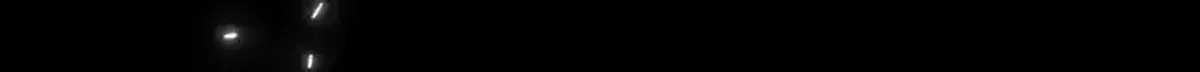Página 49