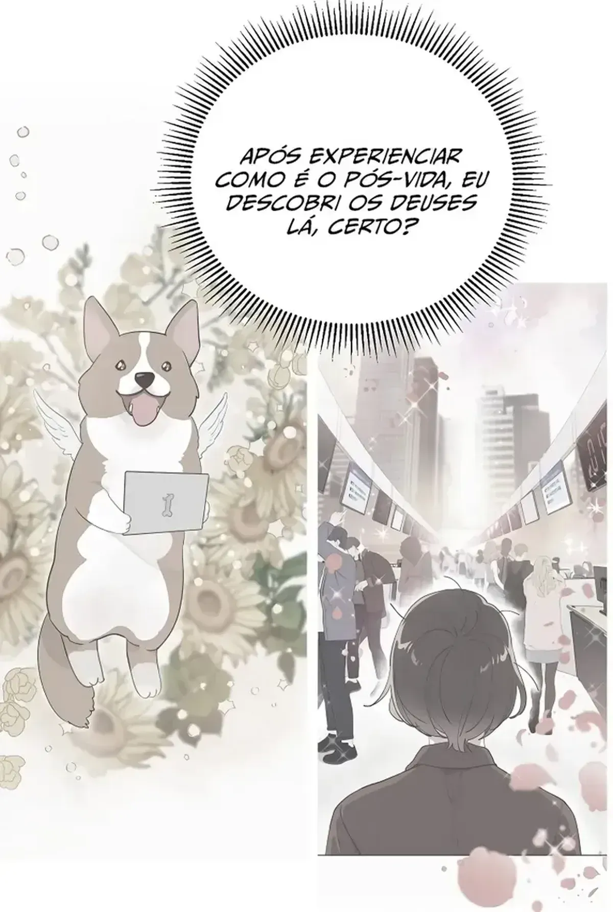 Página 61