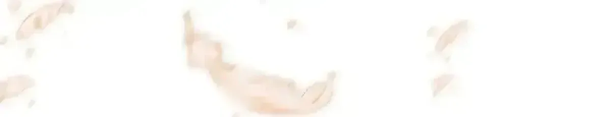 Página 55