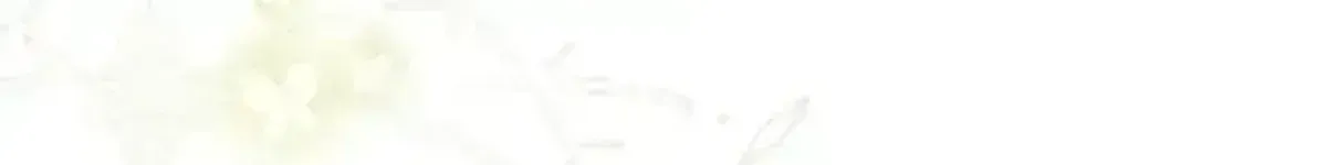 Página 68