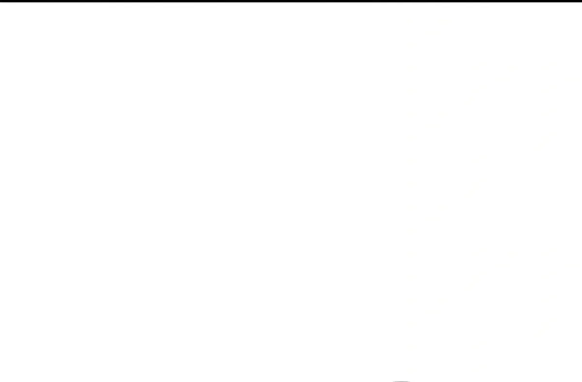 Página 100