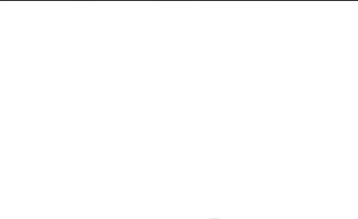 Página 216