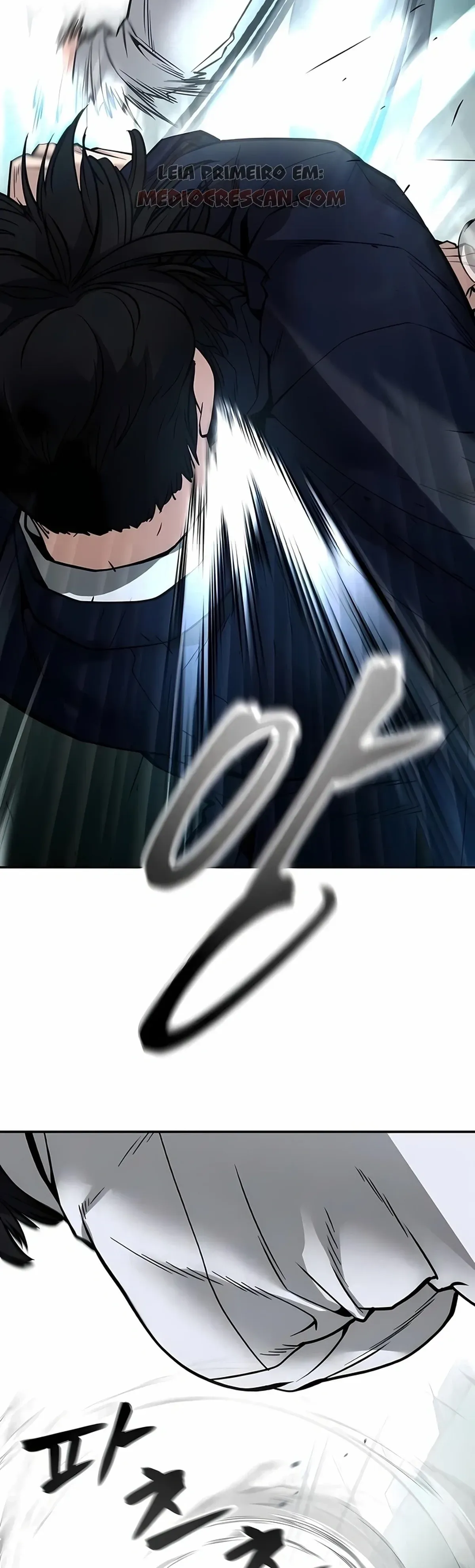 Página 116