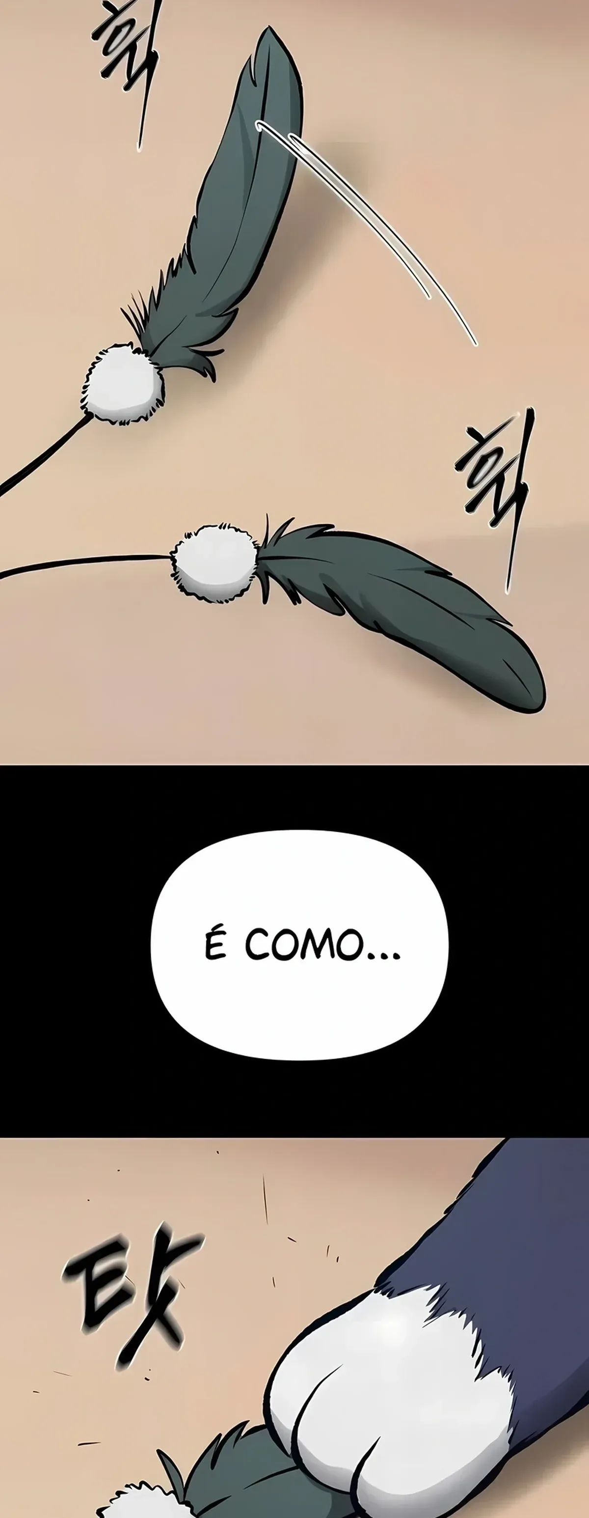 Página 41