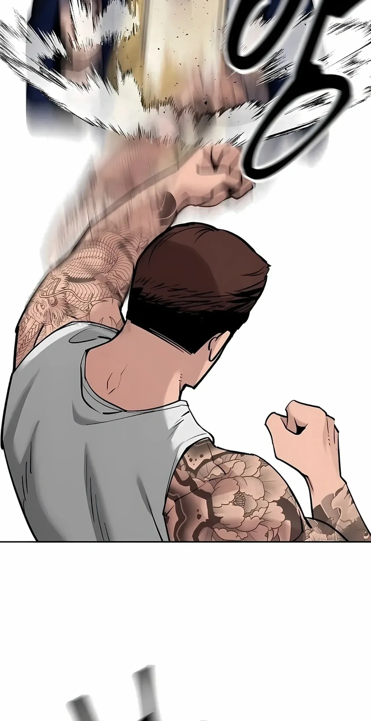 Página 49