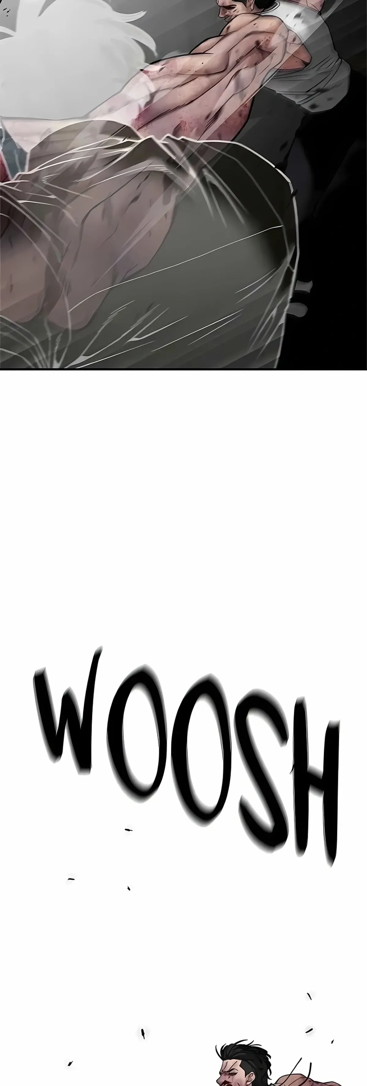 Página 101