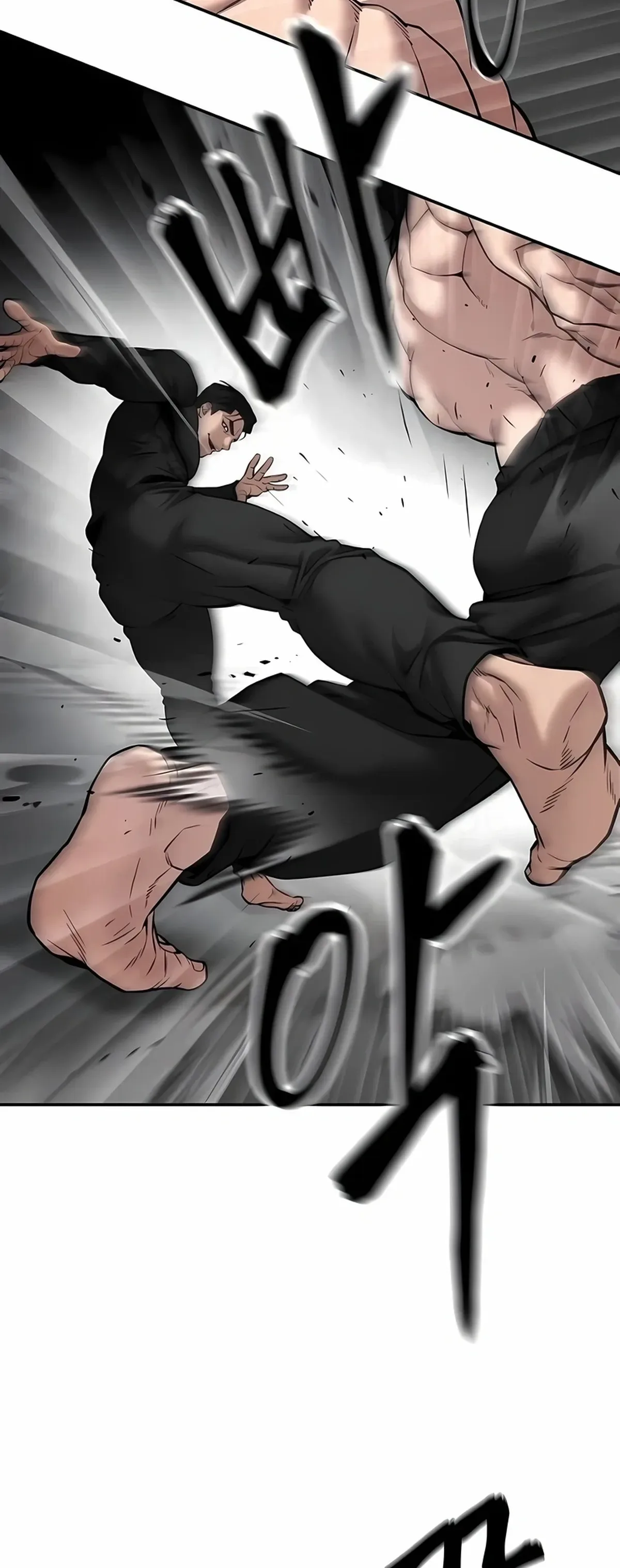 Página 111