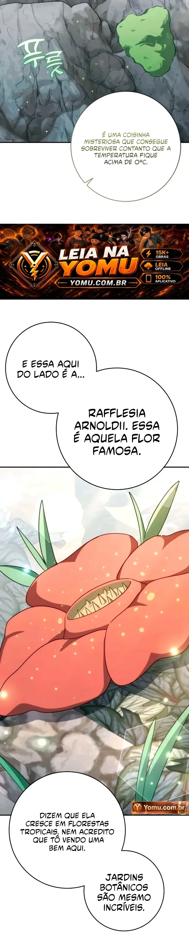 Página 52
