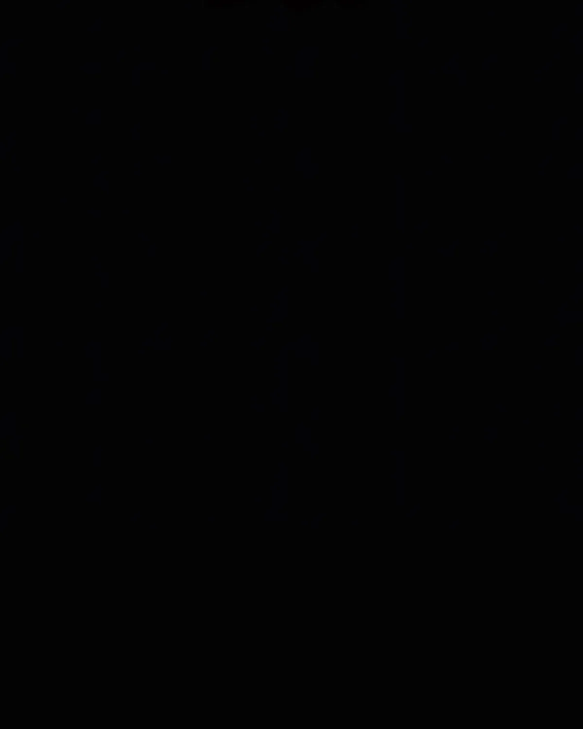 Página 96