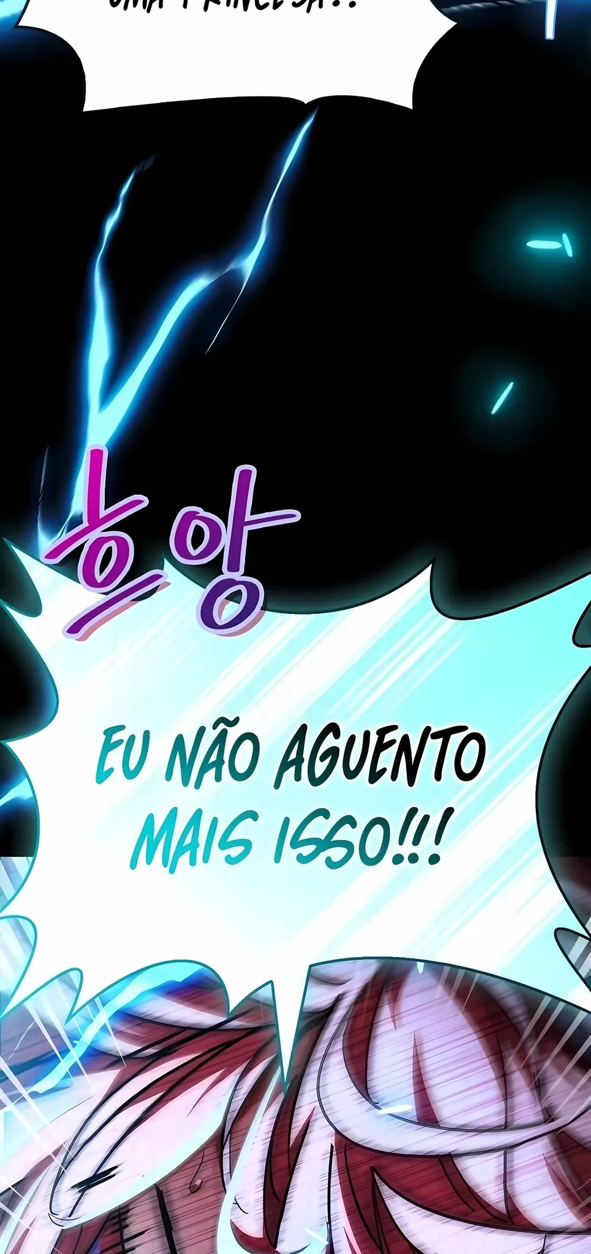 Página 119