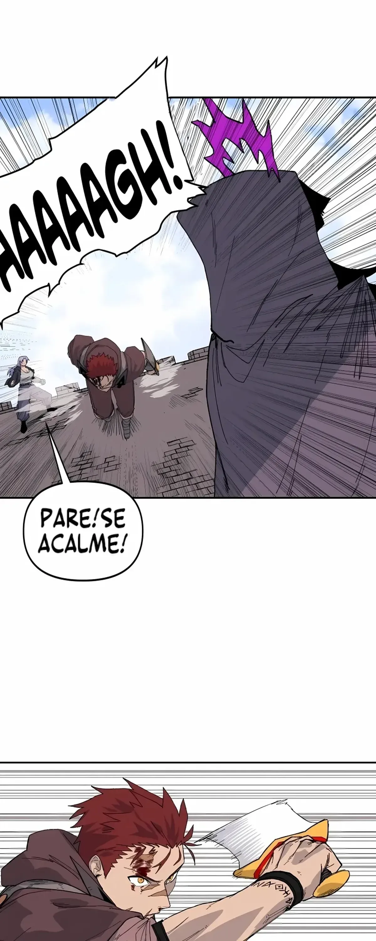 Página 29