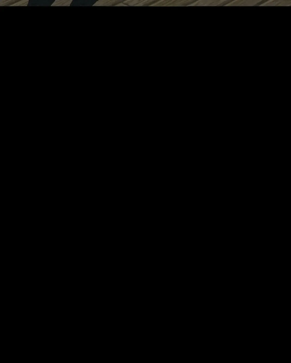 Página 95