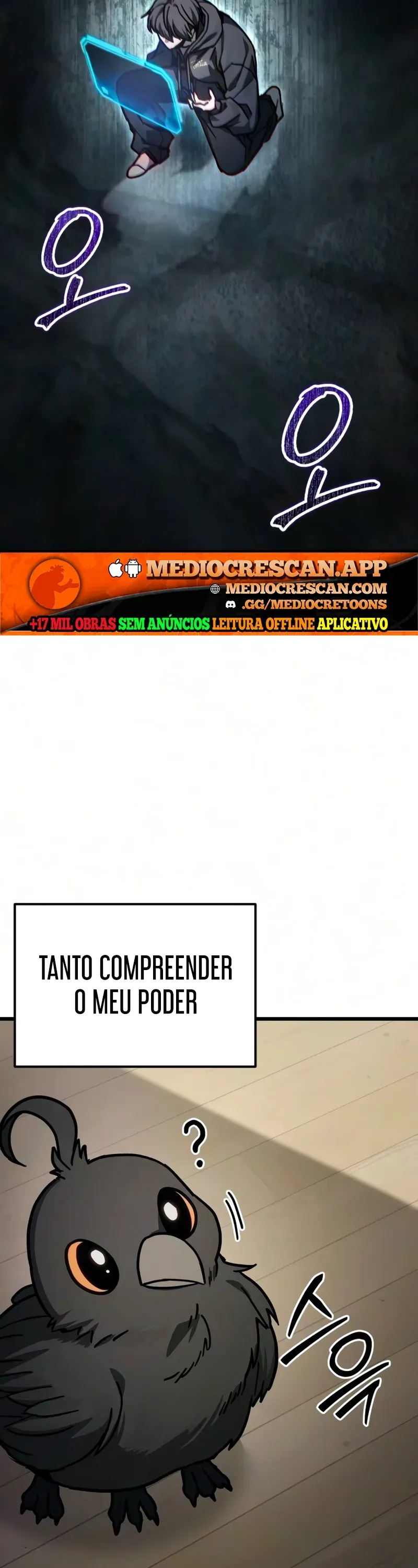 Página 13