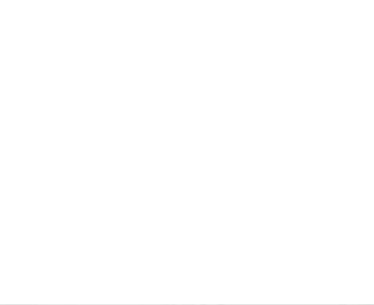 Página 81