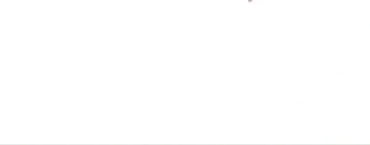 Página 100