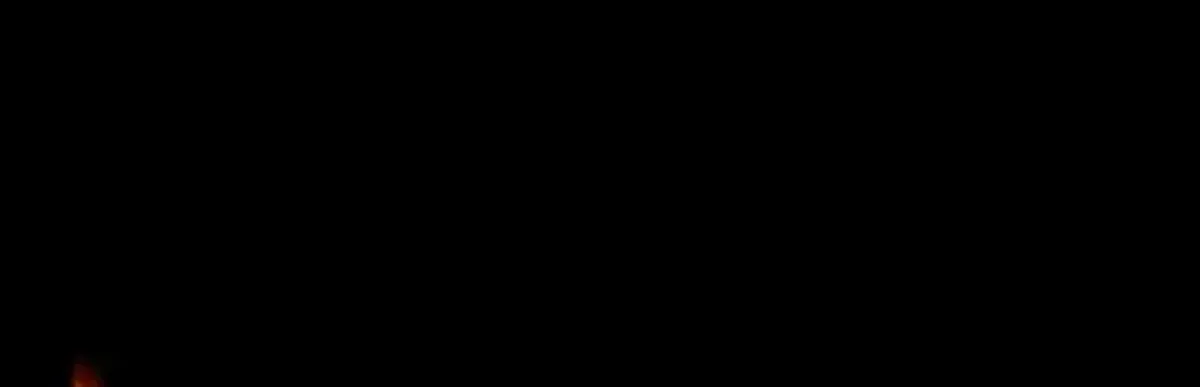 Página 102